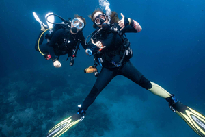 From Phi Phi: Half-Day Trip for Certified Divers (2 Dives)