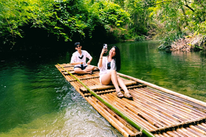 From Phuket: Elephant & Sea Turtle Conservation Private Tour