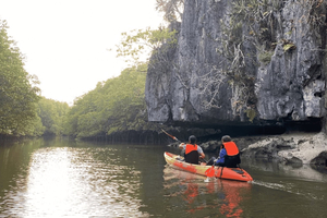 Half day Adventure Kayaking at Mangrove forest
