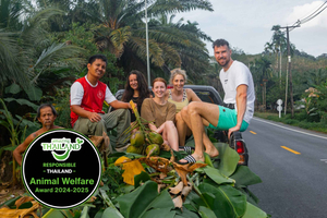Khao Lak: All-Day Elephant Sanctuary Experience Small Groups