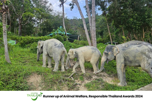 Khao Lak: Guided Tour to Elephant Sanctuary & Hotel Transfer