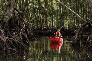 Krabi: caiaque na floresta de mangue com refeição em Aonang