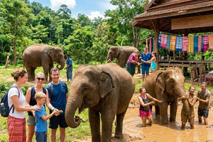 Elephant Care, Spa de Lama e Tie-Dye