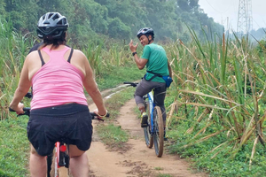 Phuket: Half-Day Countryside Cycling Tour with Lunch