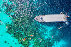 Phuket/Khao Lak: Surin Islands 3-Reef Snorkel Masterpiece
