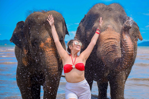Phuket: Lily Elephant Half day Trip on the Beach with lunch