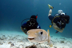 Scuba Diving Refresher(3 dives)