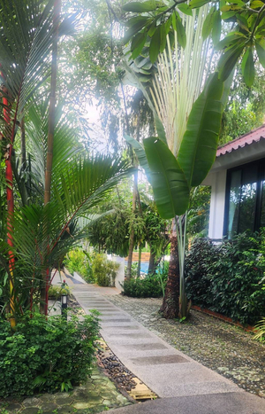 Cocoville Phuket Resort