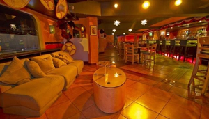 Coyote Phuket