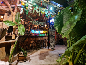 Fat Shark Bar