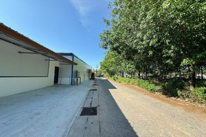 MYP Cherngtalay