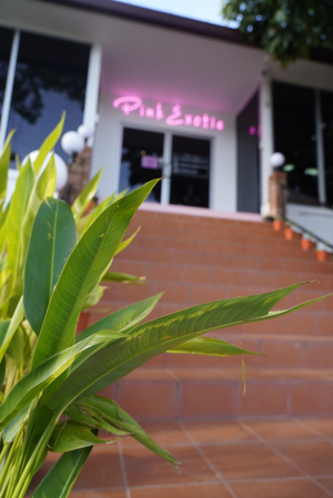 Pink Dab Club