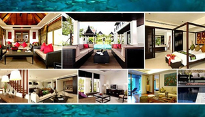 Seahorse Interiors