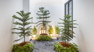 The Elements Boutique House
