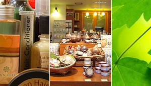 The Natural Shop