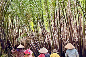 From Ho Chi Minh: Mekong Delta & Phu Quoc island 3-Day Tour