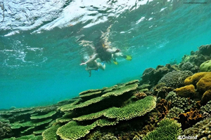 Half-day Snorkeling Adventure Local Tour In Phu Quoc Island