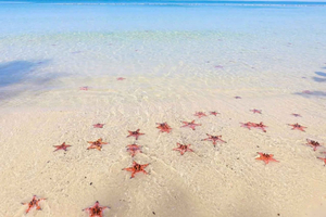 North Phu Quoc Discovery Private Tour