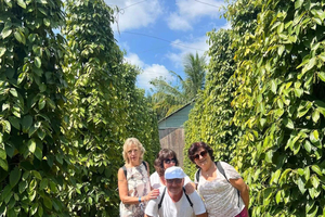 Phu Quoc: City Tour Half Day and Street Food Tour