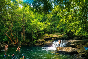 Wandern auf Erkunde den Nationalpark Fairy Stream (max. 10 Personen)