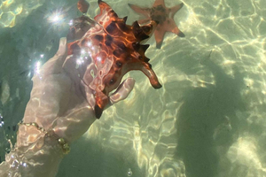Phu Quoc: Honey Farm, Starfish Beach, and Grand World Tour