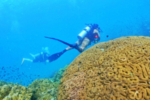 Phu Quoc: Scuba Diving Experience for All Levels