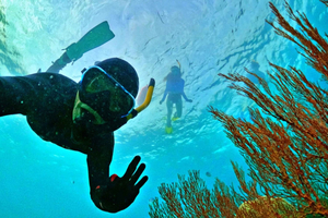 Phu Quoc Snorkling i liten gruppe til koralljungelrevet