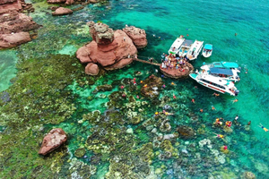 Excursión de un día de paddle surf y snorkel en Phu Quy
