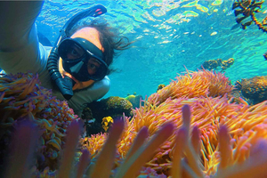 Private Real Reef Snorkeling by Speedboat