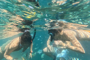 Private Sandbar & Snorkeling Speedboat Tour