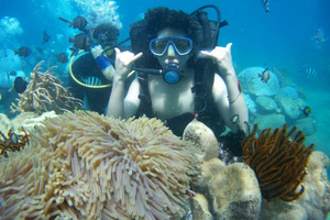 Red River Tour - Scuba Diving At Roi Island Phu Quoc