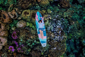 Phú Quốc: excursión por las islas en lancha motora, esnórquel y teleférico