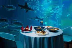 VinWonders & Mittagessen mit Blick auf das Aquarium