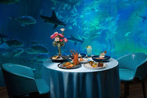 VinWonders, Safari & Mittagessen mit Blick auf das Aquarium