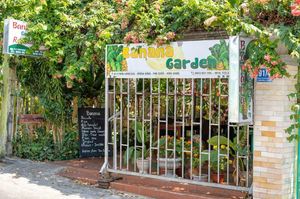 Banana Garden