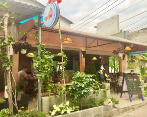 Coriander Kitchen