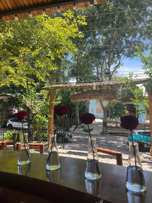 Daily Delight Bar & Restaurant
