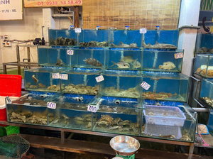 Nhà hàng hải sản Thuận Kiều 2 - Fresh Seafood & Vietnamese Cuisine