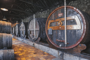 Burmester Reserve Tour