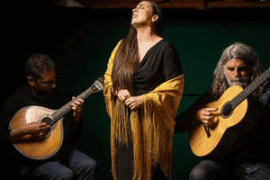 Cais de Gaia: kameralny występ fado z widokiem na Porto
