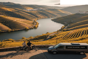 Douro E-Bike Tour & Boat Trip with/from Porto City Transfer