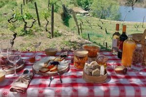 Douro Valley: Quinta do Tedo Wine Experience with Picnic
