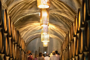 Valle del Duero: Visita a las Bodegas de Quinta do Tedo y Catas