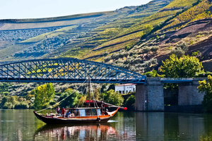 Portosta: Koko päivän retki Douro-laaksoon
