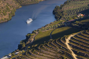 Portosta: Pinhão ja Douron laakson luonnonkaunis veneretki