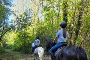Passeio a Cavalo com lanche incluído