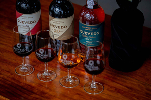 Port Special Selection Tasting in Vila Nova de Gaia