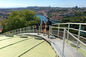 Porto 360 45' guidet tur til Super Bock Arena