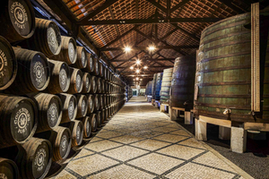 Porto: Wycieczka i degustacja w Cockburn's Port Lodge