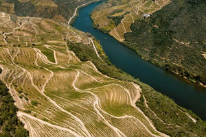 Porto: Dolina Douro: całodniowa wycieczka statkiem, pociągiem i lunch